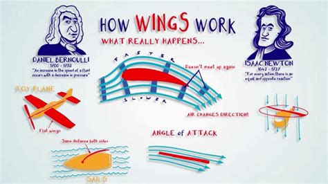 How wings really work .